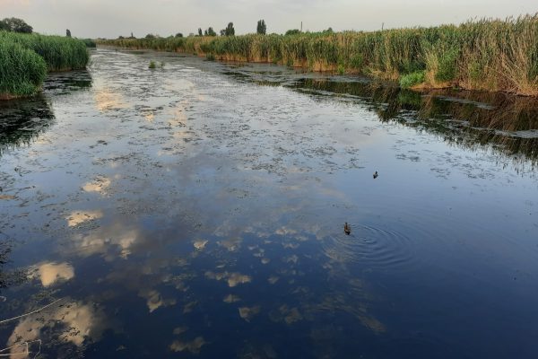 200 рабочих мест ждут рыбаков в Астрахани