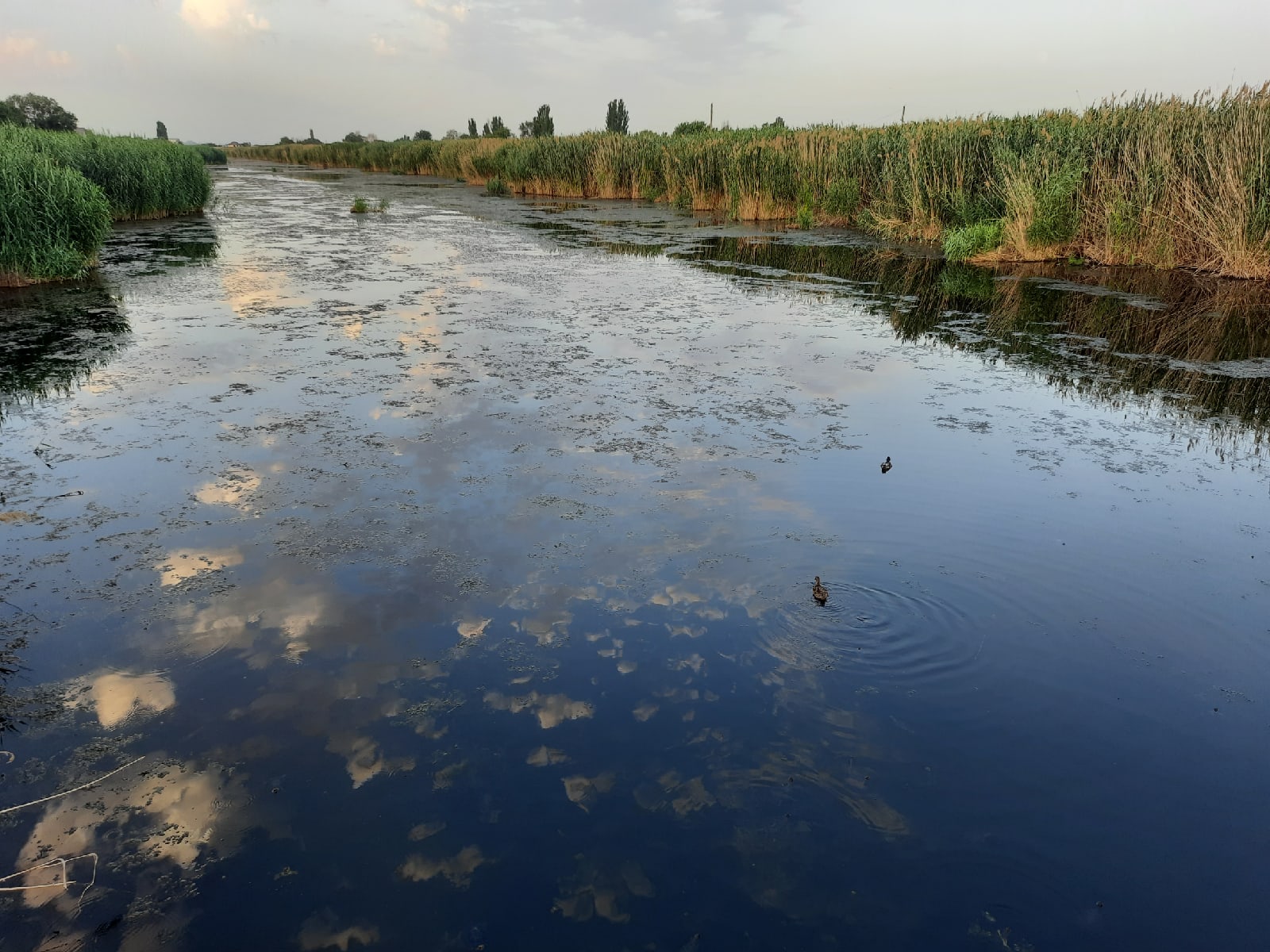 200 рабочих мест ждут рыбаков в Астрахани