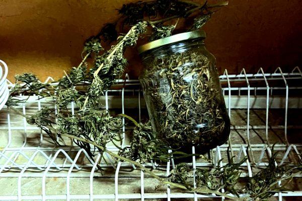 У астраханца в доме нашли профессиональную нарколабораторию