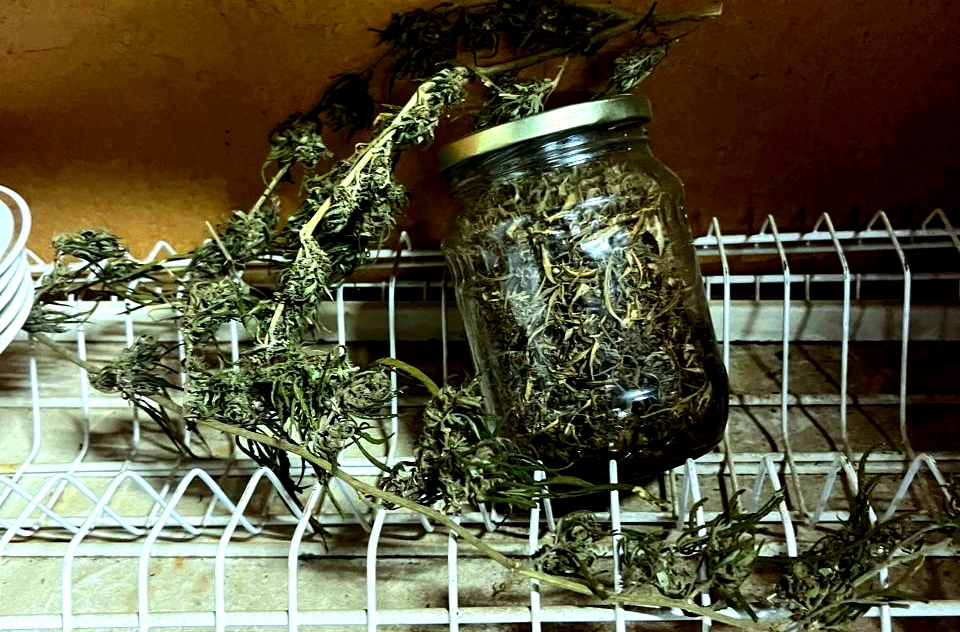 У астраханца в доме нашли профессиональную нарколабораторию