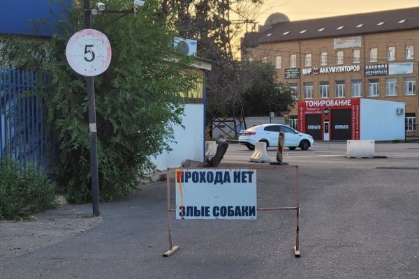 В Астрахани после нападения стаи собак на девочку возбудили уголовное дело | АРБУЗ