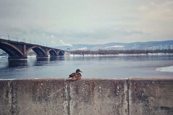 Весна придет в Сибирь с аномальными морозами