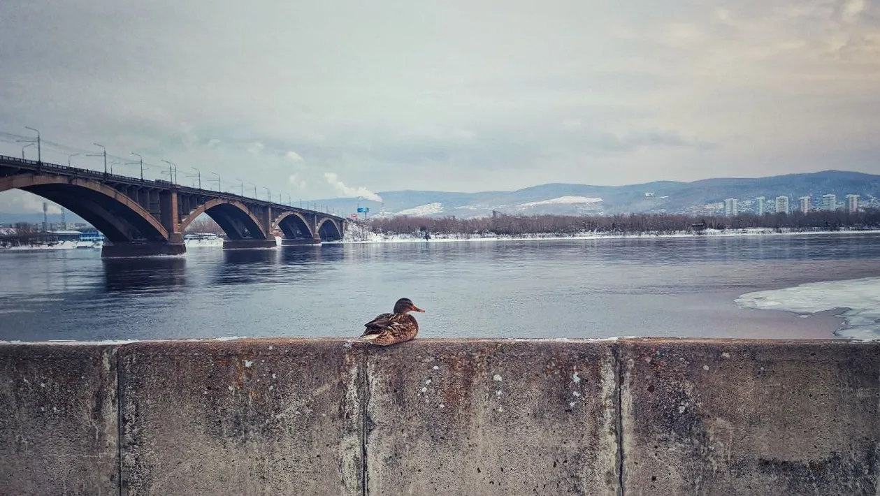 Весна придет в Сибирь с аномальными морозами