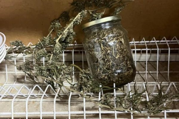 Ранее судимого астраханца задержали за хранение конопли