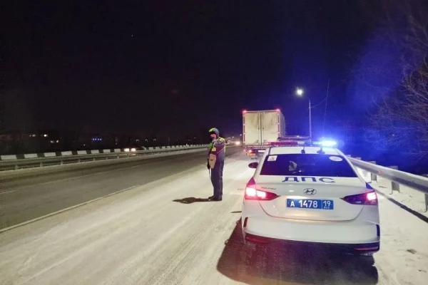 Из Красноярска в Хакасию пытались увезти 7 тонн мяса без документов — фуру задержали на ночном рейде