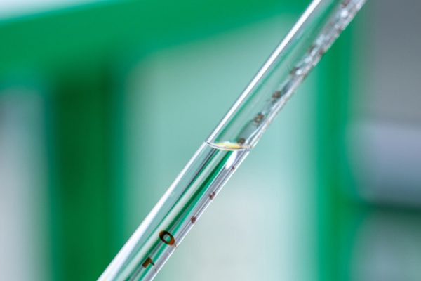 Путин рассказал о старте реализации национального проекта по биоэкономике