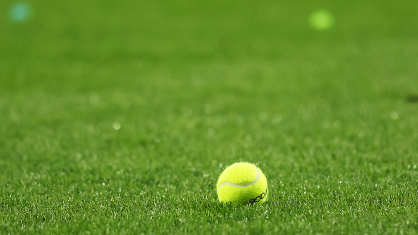 В Госдуме призвали изучить ситуацию с флагом России на теннисном матче в Дубае