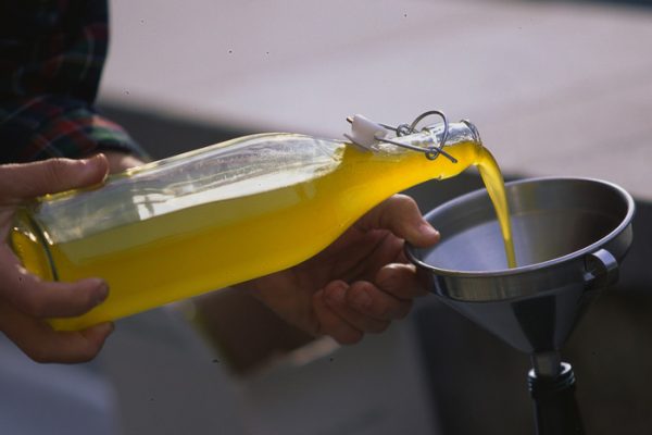 Новый ГОСТ на подсолнечное масло заработает в России в 2027 году