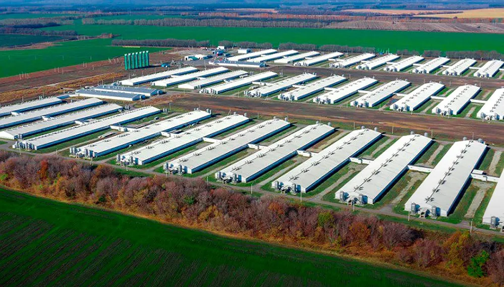 «Сибагро» снова в тройке лучших!