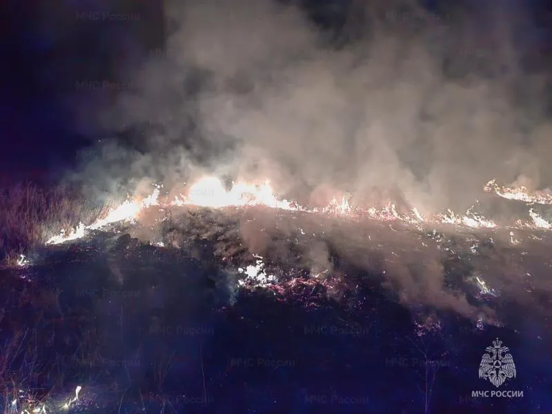 Первый в году крупный пожар сухой травы потушили в Забайкалье