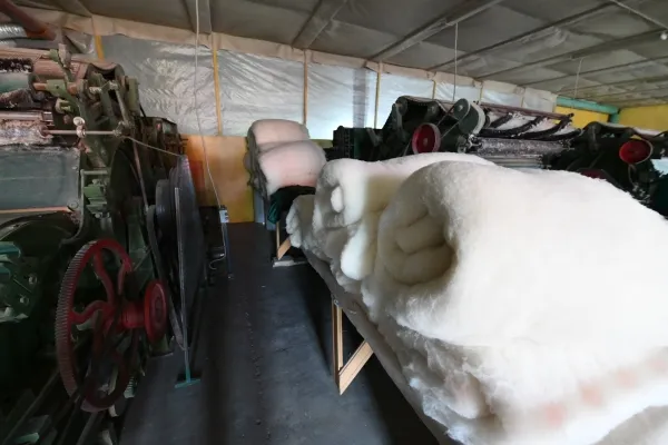 Забайкалье и Бурятия объединятся для создания кластера по переработке шерсти