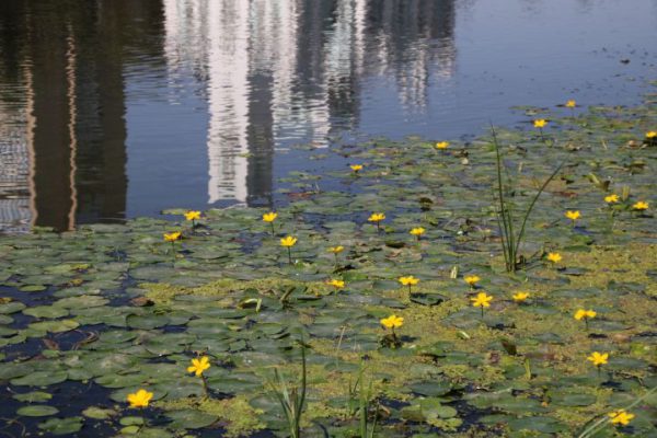 С 1 марта меняются правила бронирования отелей