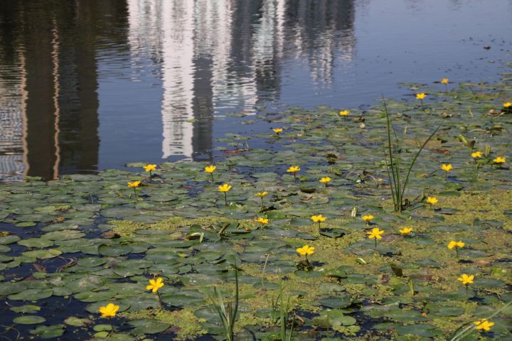 С 1 марта меняются правила бронирования отелей