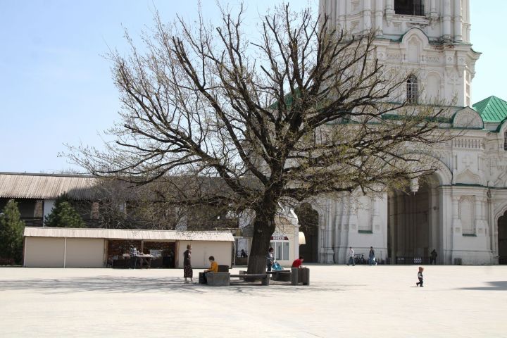 Ветер может испортить солнечный день. Прогноз погоды от Астраханского ЦГМС: сегодня