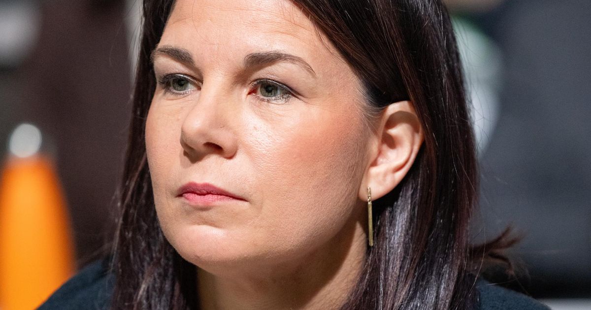 Бербок по ошибке причислила Гренландию к Евросоюзу