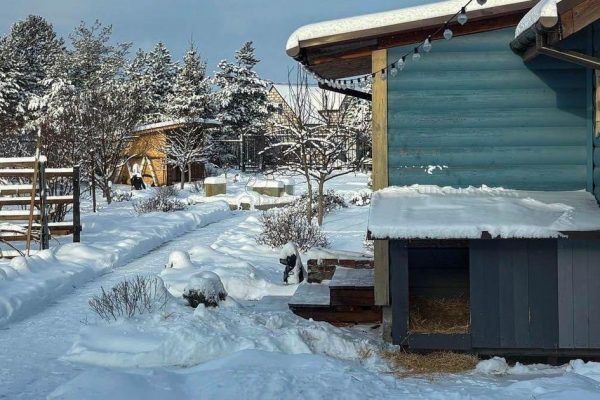 Эксперт успокоил дачников: не все постройки требуют кадастрового оформления