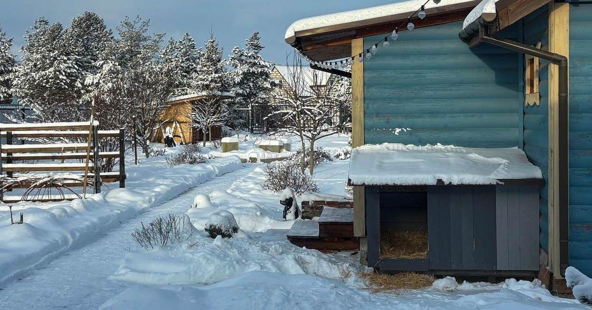 Эксперт успокоил дачников: не все постройки требуют кадастрового оформления