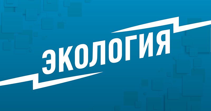 Горы мусора плывут по реке Тиса из Украины в Венгрию