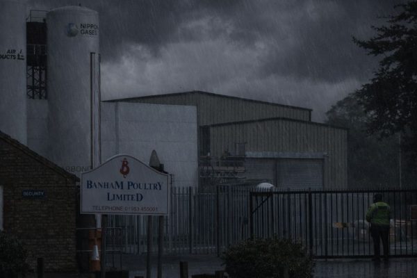 Британские компании отрицали вину семь лет: что случилось с их работниками в морозилке на птицефабрике