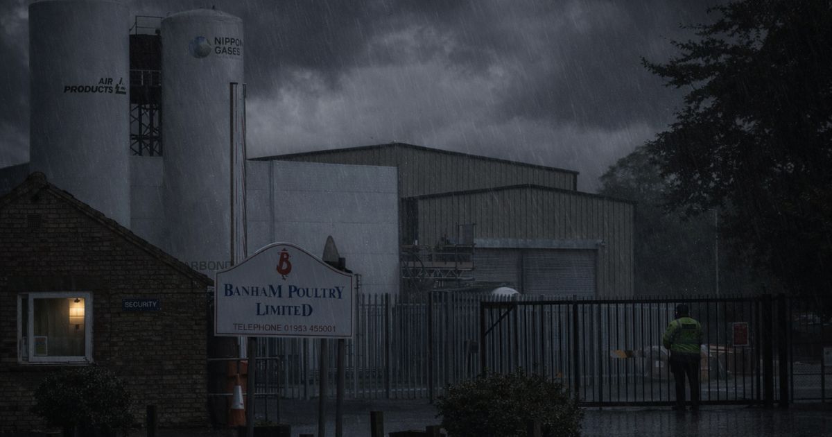 Британские компании отрицали вину семь лет: что случилось с их работниками в морозилке на птицефабрике