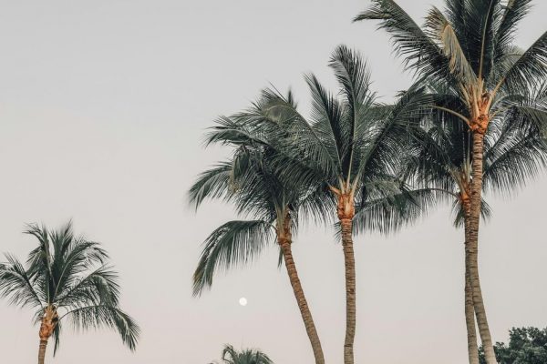 Турагент напомнила россиянам о документах для поездки в экзотические страны