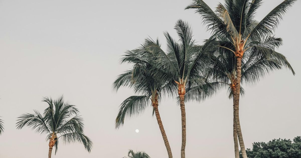 Турагент напомнила россиянам о документах для поездки в экзотические страны