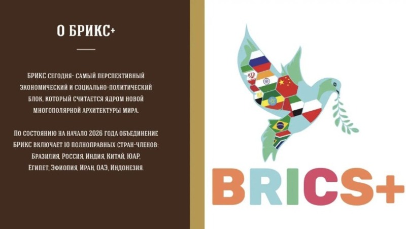 Астраханские бизнесмены могут поучаствовать в молодёжном саммите «Модель БРИКС»