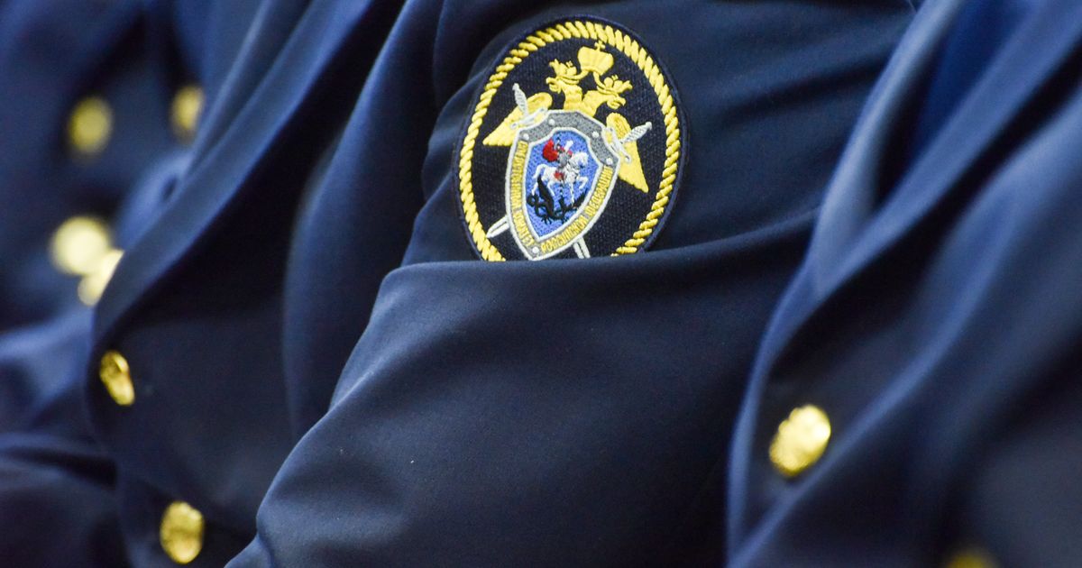 В Подмосковье возбудили дело на последователя секты «Царская империя»