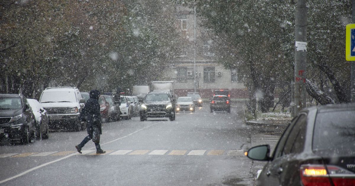Гидрометцентр предупредил о мокром снеге и дожде в выходные