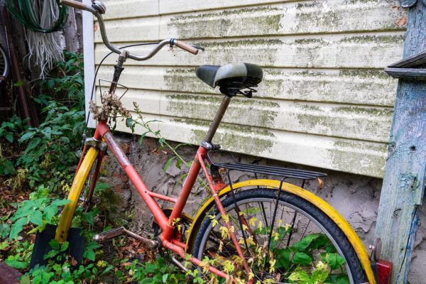 Не губи урожай с первого дня: эксперт назвал роковую ошибку всех дачников перед летом