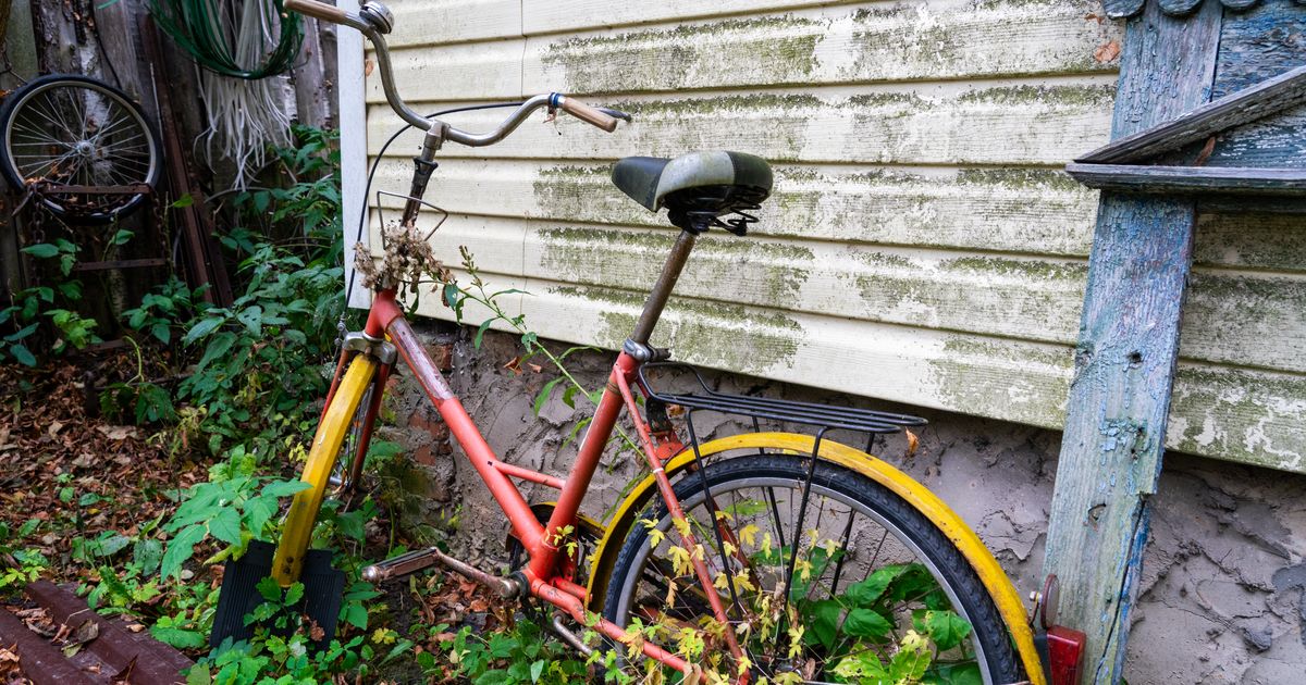 Не губи урожай с первого дня: эксперт назвал роковую ошибку всех дачников перед летом