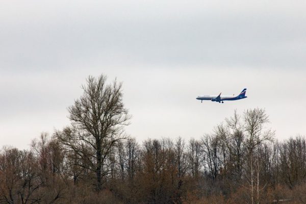 Пауэрбанк загорелся во время полета на рейсе Екатеринбург — Стамбул