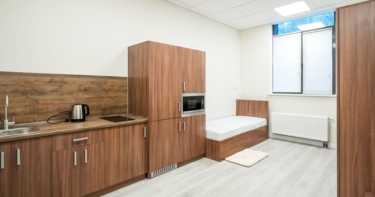 В Люберцах в квартире нашли огромного паука: арахнолог рассказала, как гуманно избавиться от паука в квартире