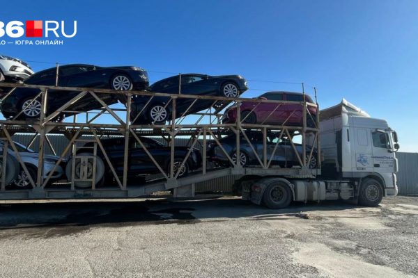 По миллиону сверху за каждую машину. В правительстве придумали, как бороться с серым импортом