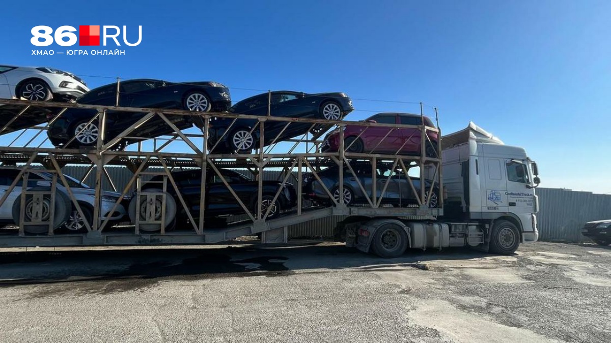 По миллиону сверху за каждую машину. В правительстве придумали, как бороться с серым импортом