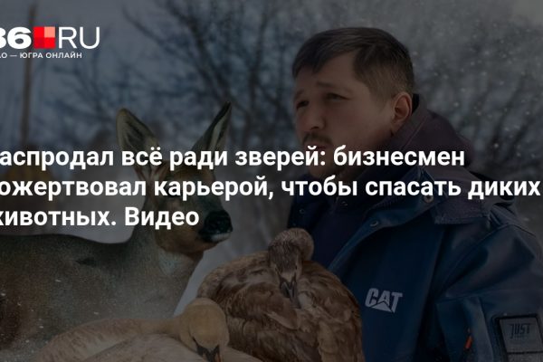 Распродал всё ради зверей: бизнесмен пожертвовал карьерой, чтобы спасать диких животных. Видео