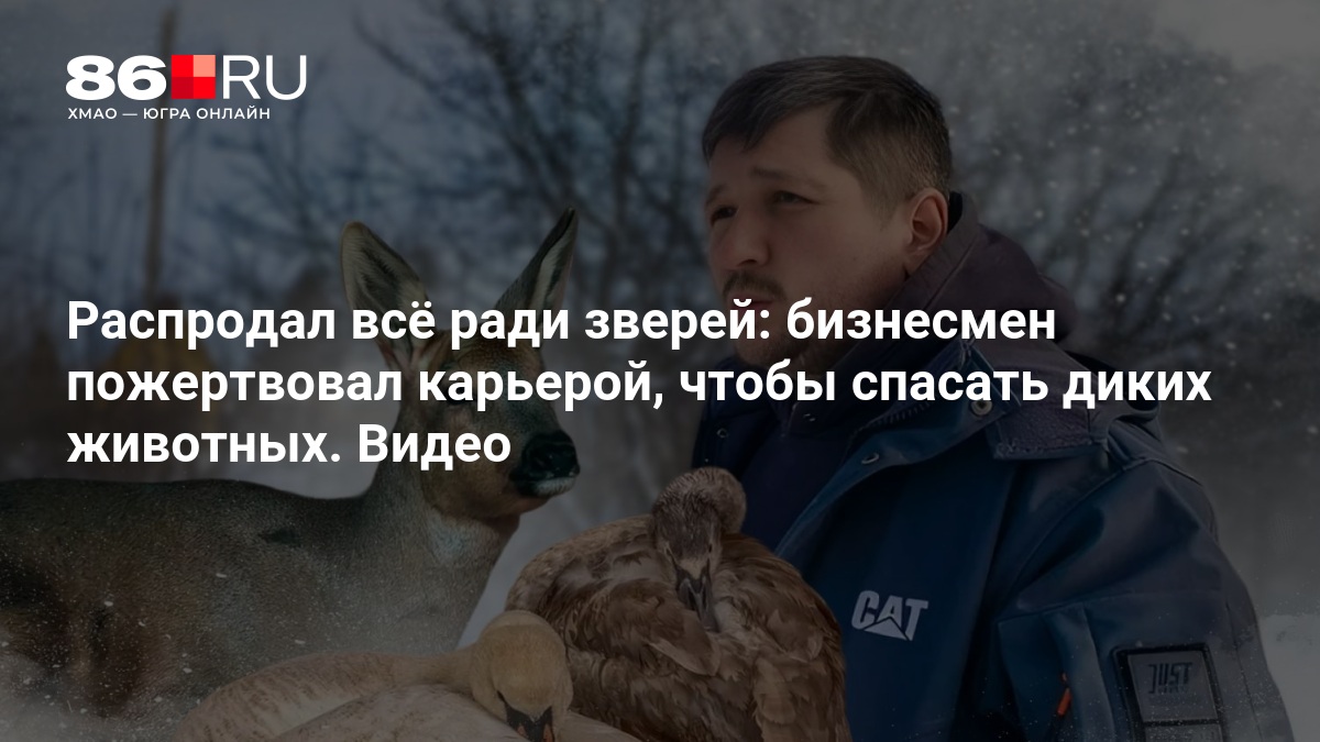 Распродал всё ради зверей: бизнесмен пожертвовал карьерой, чтобы спасать диких животных. Видео