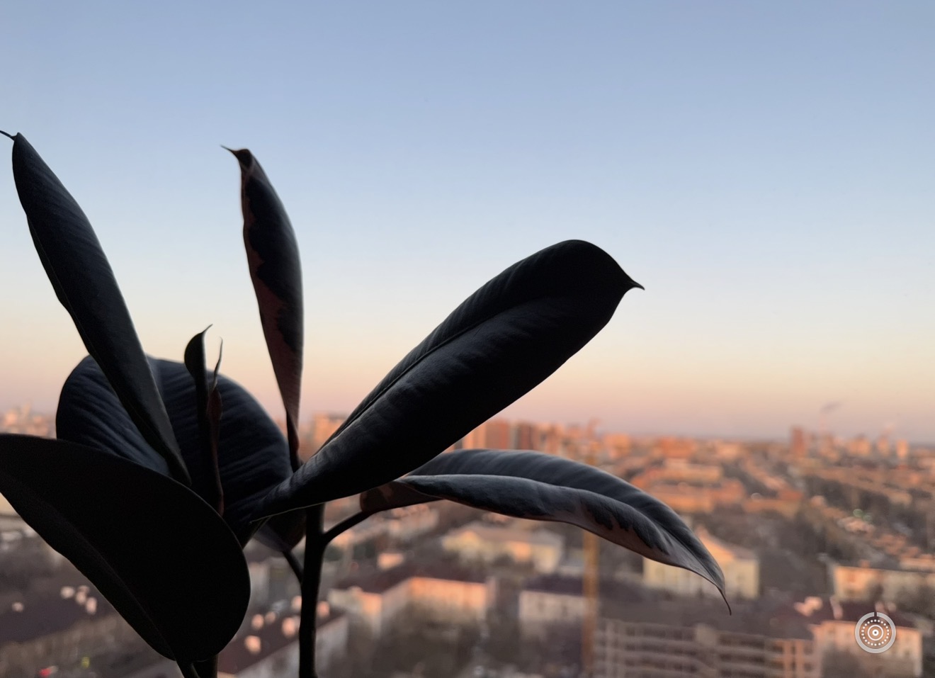 26 февраля в Астраханской области будет солнечно и ветрено