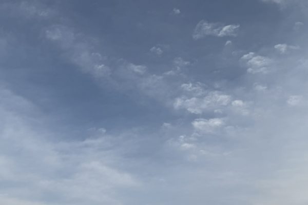 27 февраля в Астраханской области сохранится ветреная погода