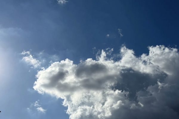 1 марта в Астраханской области будет тепло