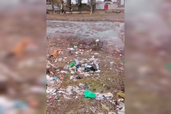 Жители астраханского села тонут в мусоре из-за отсутствия подъездных путей - PRO Астрахань