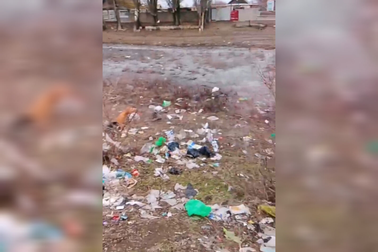 Жители астраханского села тонут в мусоре из-за отсутствия подъездных путей - PRO Астрахань