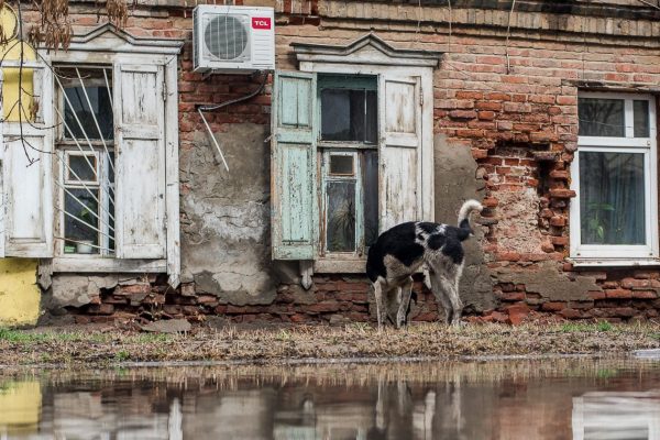 В Астраханской области расселят 323 аварийных помещения | АРБУЗ