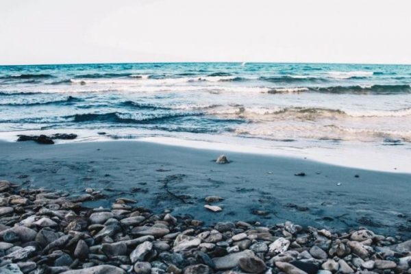 Массовую гибель животных на Каспии объяснили землетрясениями 