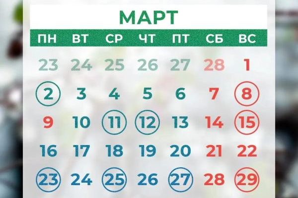 Календарь всех выходных и праздников на март опубликовал Минтруд