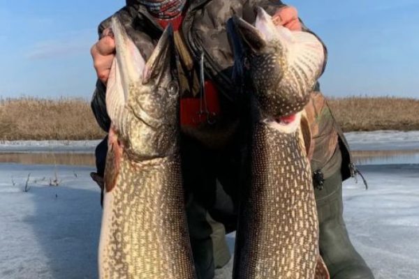 Спиннинги в ожидании, рыбные запасы Каспия пополняются, российский автопарк стареет, новые правила бронирования в гостиницах: резонансные новости 25 февраля, которые вы могли пропустить