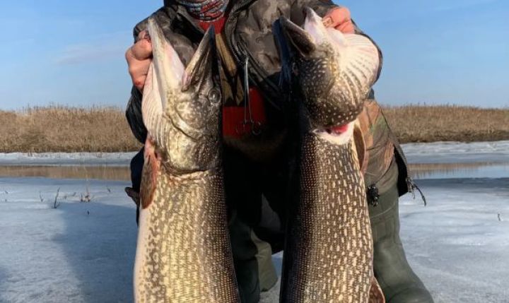 Спиннинги в ожидании, рыбные запасы Каспия пополняются, российский автопарк стареет, новые правила бронирования в гостиницах: резонансные новости 25 февраля, которые вы могли пропустить