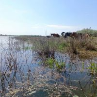 В Астраханской области начали подготовку к весеннему паводку