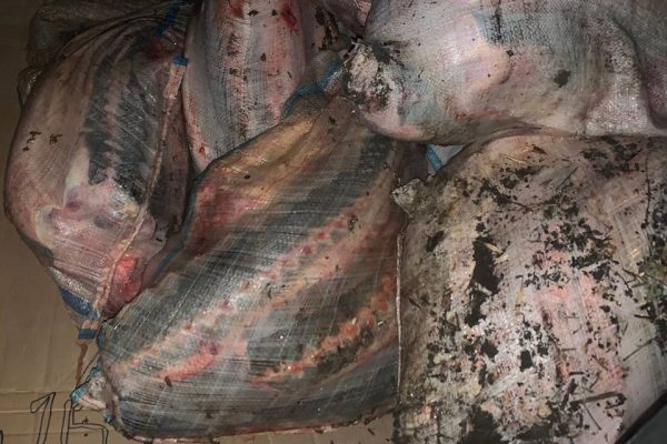 74 осетра стоили астраханцу свободы