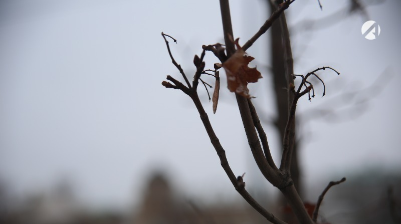 Астраханцев предупреждают о заморозках 23 марта